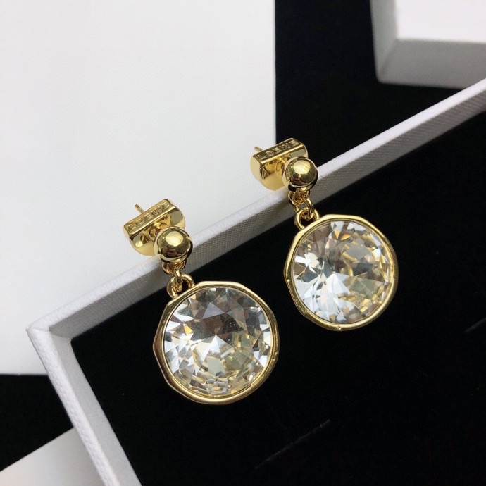 Loewe Earrings